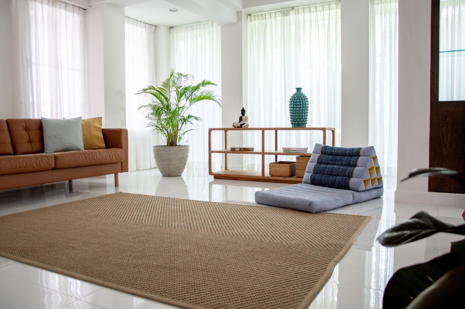 A bright, airy living room with a caramel leather sofa, large plant and wooden shelving
